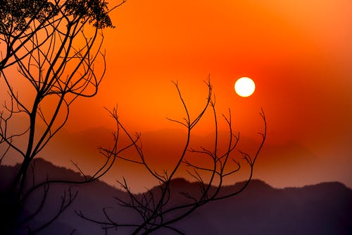 有关Copyspace, 乾的, 光的免费素材图片