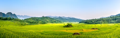 有关全景, 农艺学, 土地的免费素材图片