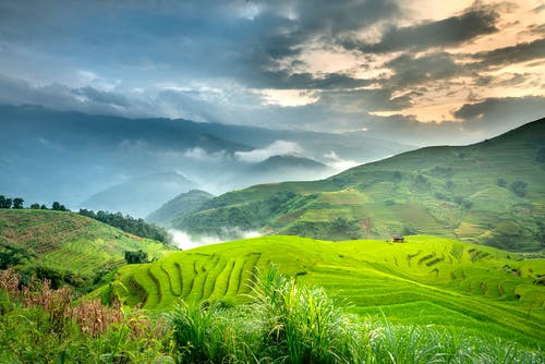 有关和平的, 和谐, 地平线的免费素材图片