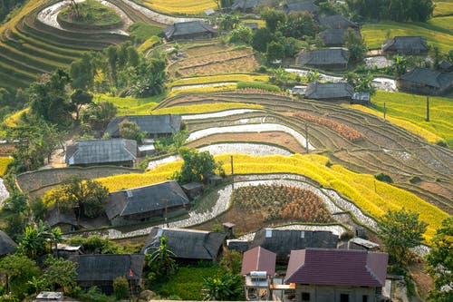 有关住, 住宅, 农艺学的免费素材图片