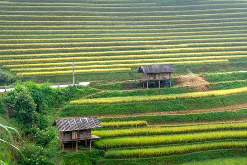有关不均匀的, 划船, 华丽的的免费素材图片