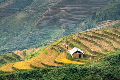 有关和平的, 国家, 土地的免费素材图片