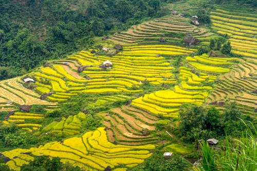 有关农艺学, 国家, 地平线的免费素材图片
