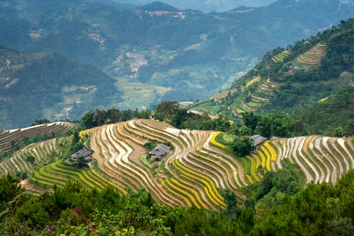 有关和平的, 国家, 土地的免费素材图片