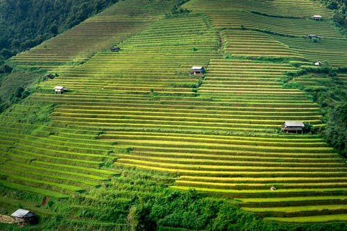 有关不均匀的, 划船, 华丽的的免费素材图片
