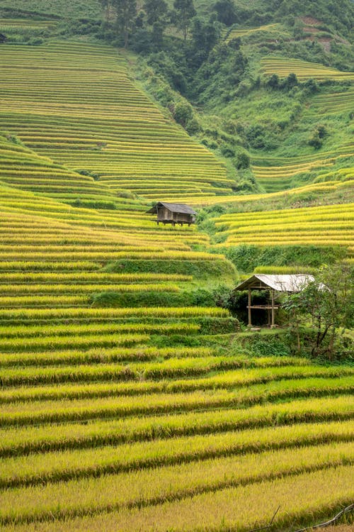 有关和谐, 土地, 地形的免费素材图片