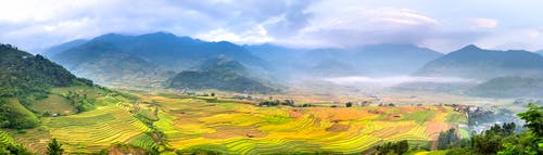 有关不均匀的, 全景, 划船的免费素材图片