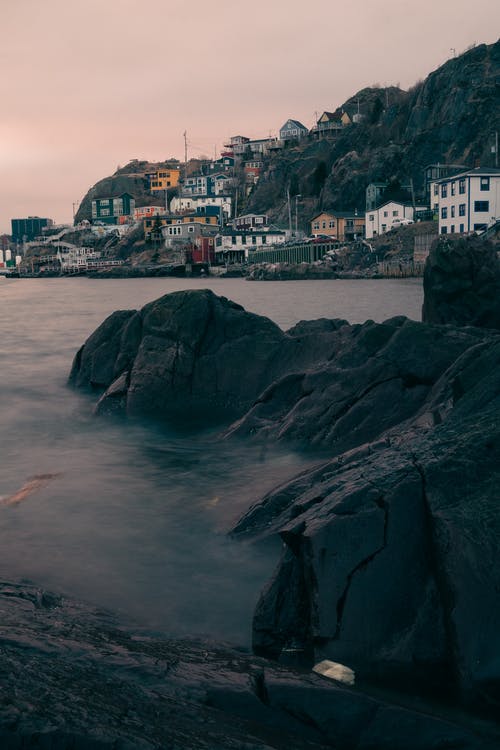 有关冷静, 华丽的, 和谐的免费素材图片