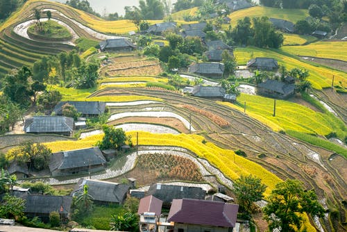 有关住, 住宅, 农艺学的免费素材图片