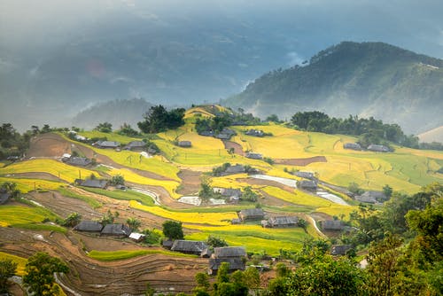 有关住, 住宅, 农艺学的免费素材图片