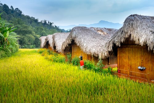 有关不露面, 亚洲, 儿童的免费素材图片