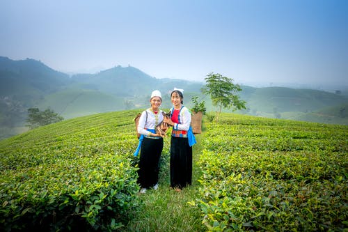 有关内容, 全身, 划船的免费素材图片