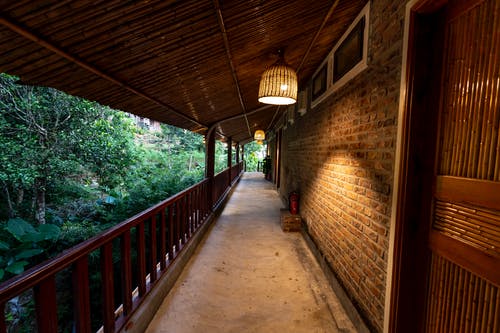 有关围栏, 地平线, 增长的免费素材图片