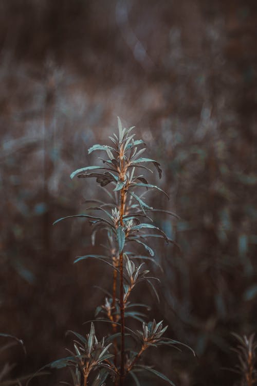 有关冷静, 和平的, 和谐的免费素材图片