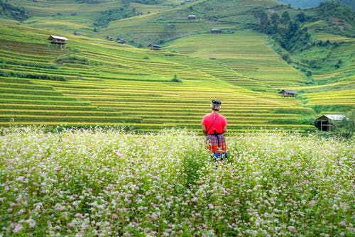有关佩服, 冷静, 匿名的免费素材图片