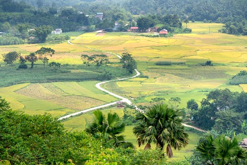 有关住, 住宅, 园艺的免费素材图片