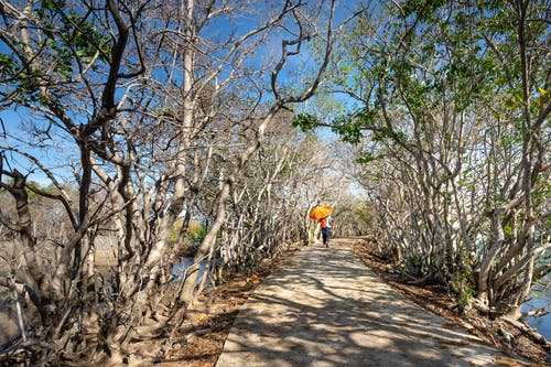 有关不露面, 乾的, 人的免费素材图片