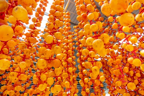 有关从下面, 低角度, 健康的免费素材图片