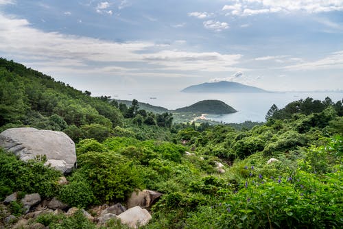 有关冷静, 卵石, 地平线的免费素材图片