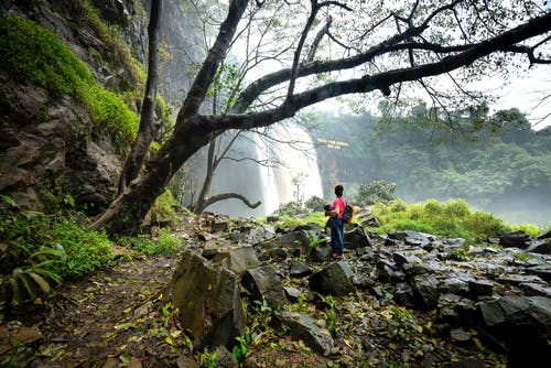 有关不露面, 享受, 佩服的免费素材图片