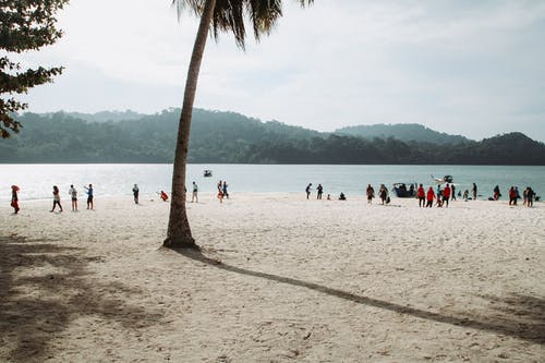 有关Copyspace, 一起, 假期的免费素材图片