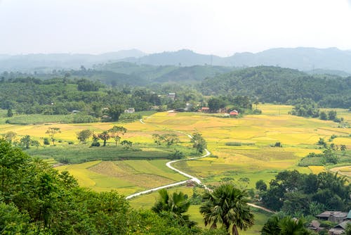 有关Copyspace, 园艺, 土地的免费素材图片