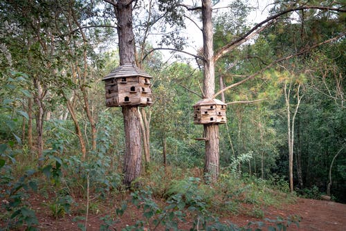 有关不均匀的, 光, 公园的免费素材图片