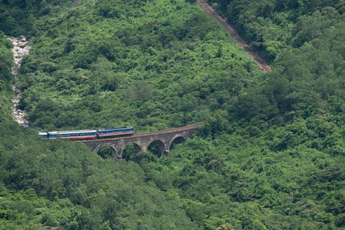 有关地平线, 增长, 夏天的免费素材图片