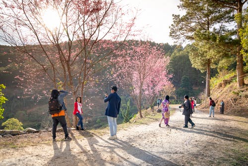 有关一起, 不露面, 佩服的免费素材图片