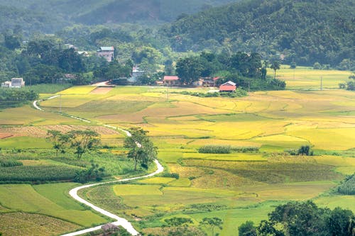 有关不均匀的, 住, 住宅的免费素材图片
