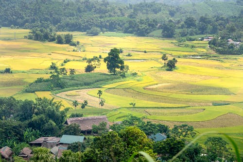 有关住, 住宅, 园艺的免费素材图片