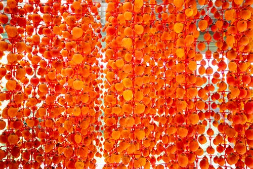 有关乾燥, 健康, 健康食品的免费素材图片