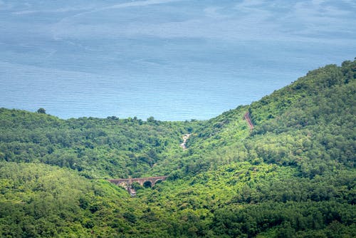 有关冷静, 丛林, 地平线的免费素材图片