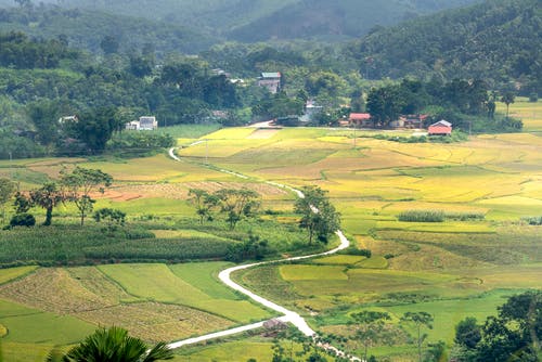 有关住, 住宅, 园艺的免费素材图片