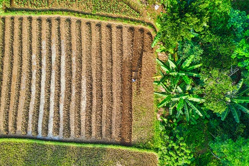 有关俯视图, 冷静, 和谐的免费素材图片