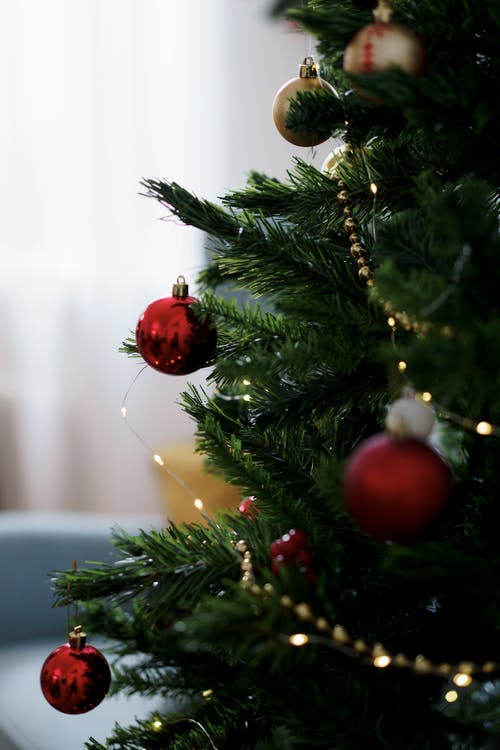 有关christmastide, 假日, 冬季的免费素材图片