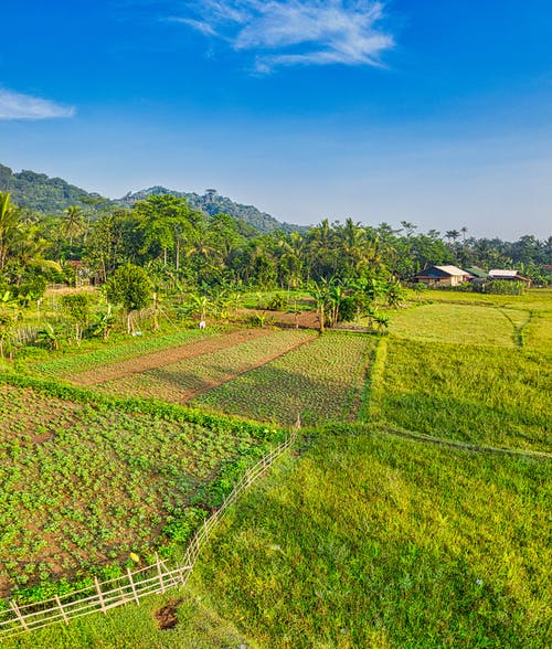 有关住宅, 和平的, 和谐的免费素材图片