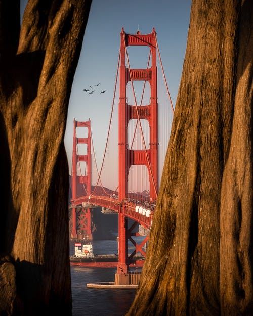 有关加州, 加州的金门大桥, 吸引的免费素材图片