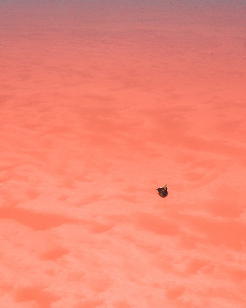 黑鸟飞过海 · 免费素材图片