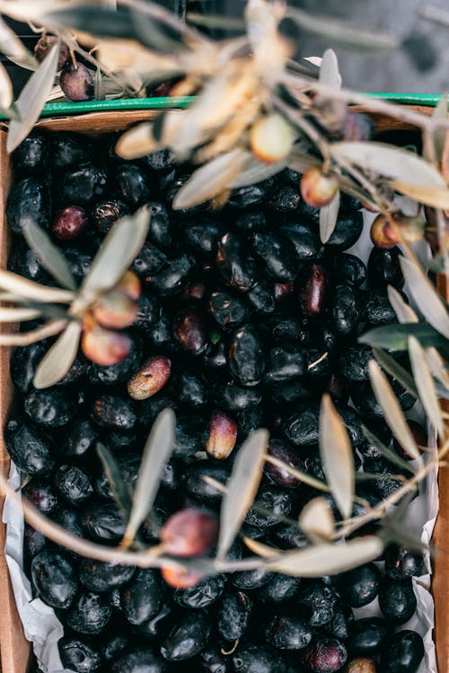 有关俯视图, 健康, 全画幅的免费素材图片