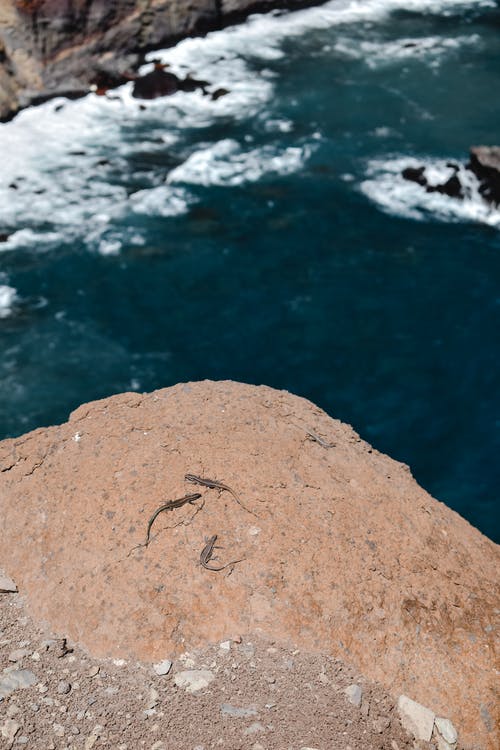 水体附近的布朗岩 · 免费素材图片