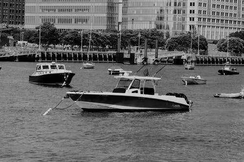 有关bw, 什锦的, 各种的免费素材图片