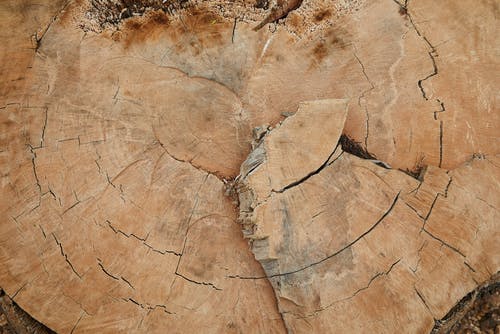 棕色和黑色抽象绘画 · 免费素材图片