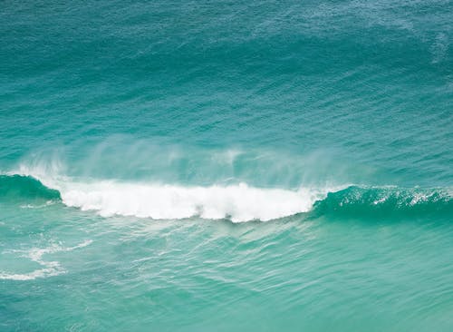 海浪在绿海 · 免费素材图片