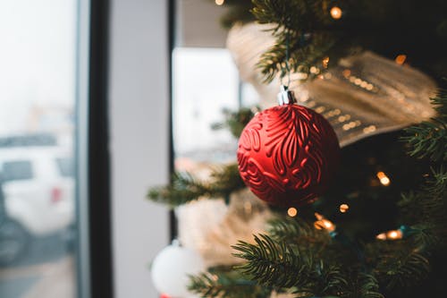 有关事件, 作文, 假日的免费素材图片