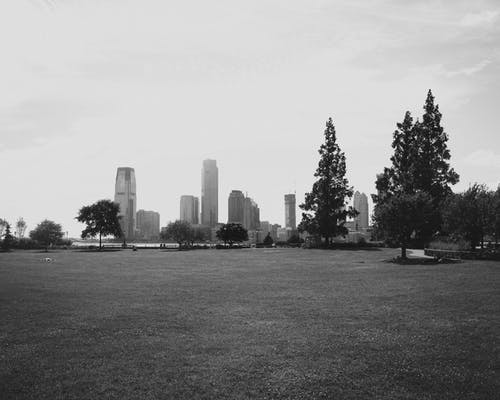 有关bw, Copyspace, 创作的的免费素材图片