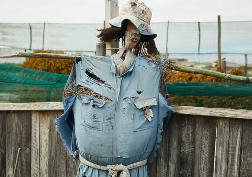 蓝色牛仔夹克穿棕色帽子站在棕色木栅栏附近的女人 · 免费素材图片