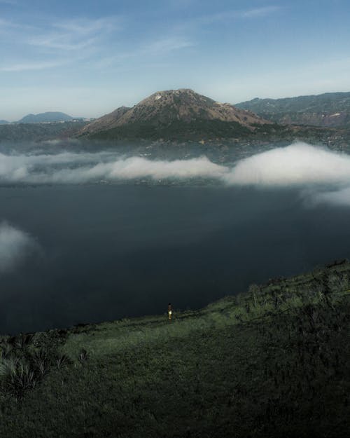 有关华丽的, 厚, 土地的免费素材图片