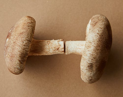 白色表面上的棕色木制roll面杖 · 免费素材图片