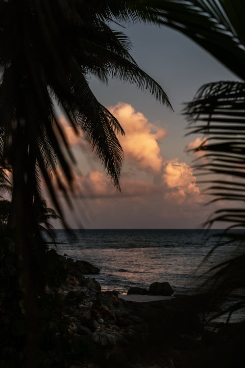 有关playa del carmen, 侧面, 剪影的免费素材图片